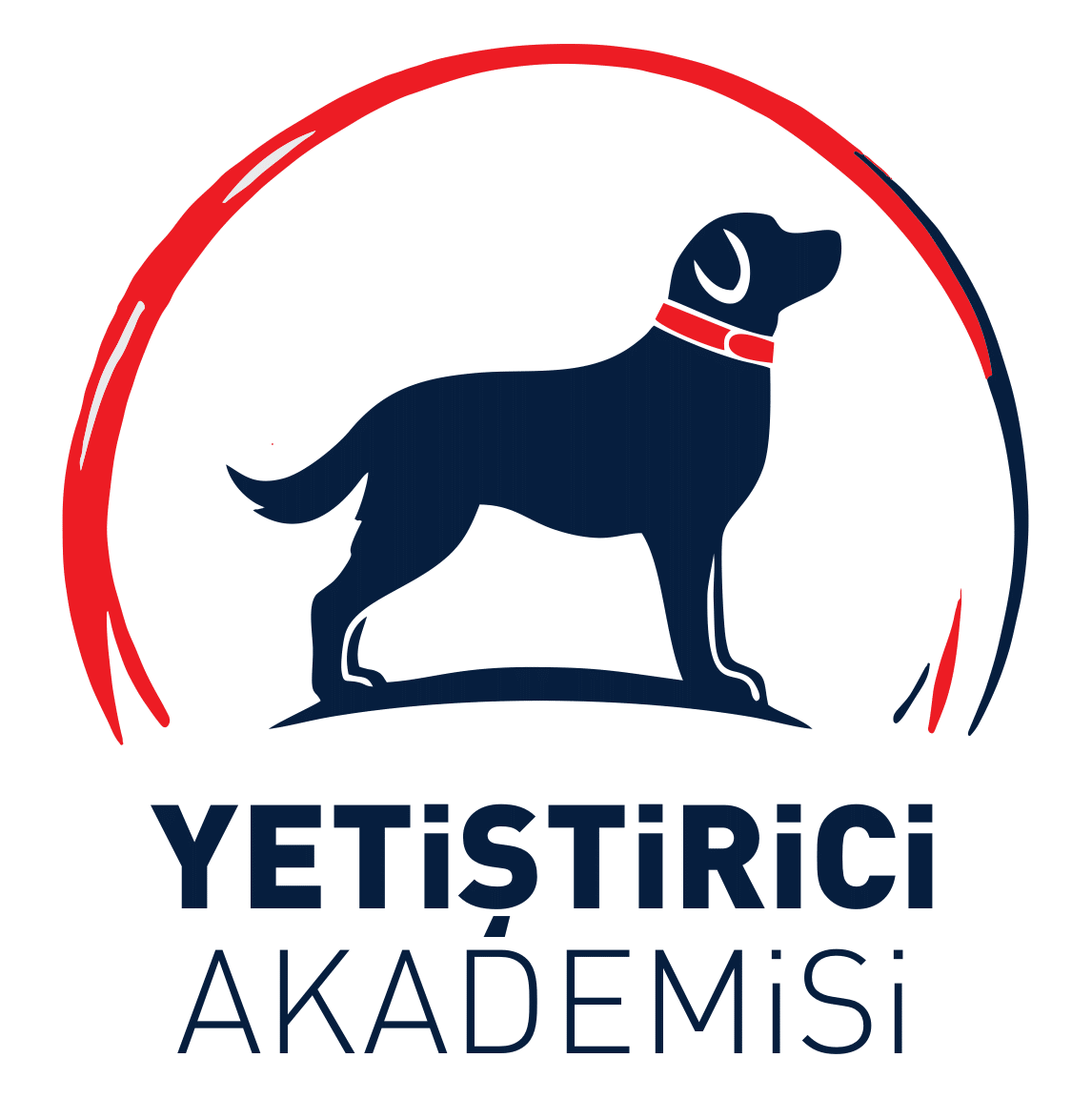 KIF Yetiştirici Akademisi